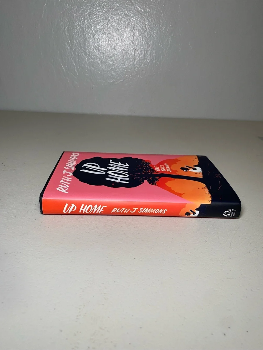 Up Home Decorative Book Cover - Pink